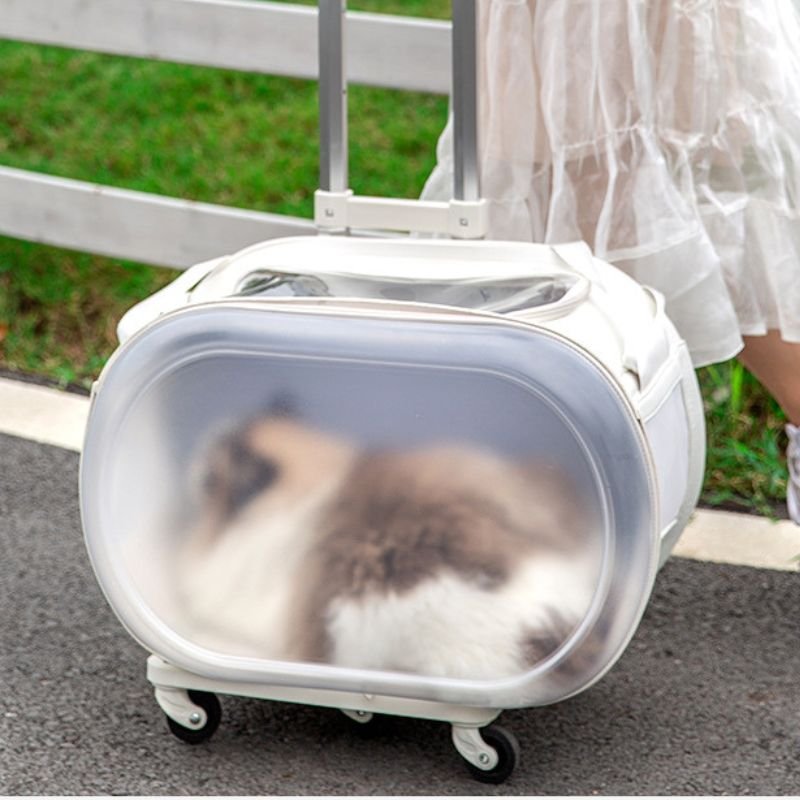 cat stroller