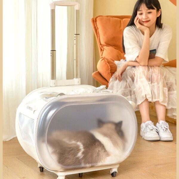 cat suitcase