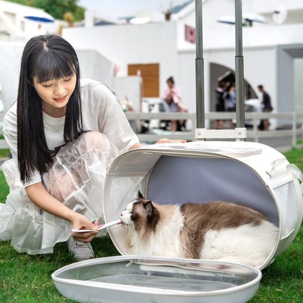 cat suitcase carrier