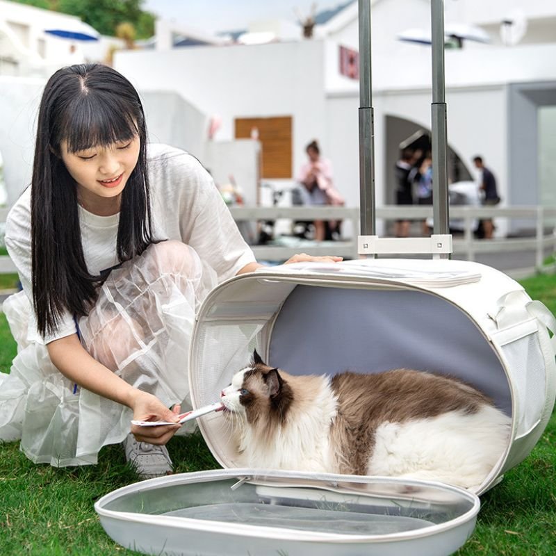 cat suitcase carrier