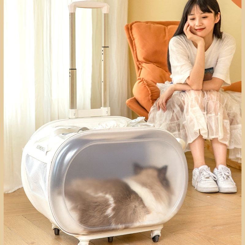 cat suitcase