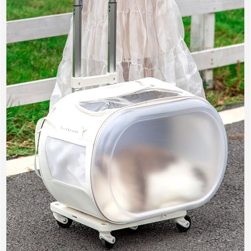 cat travel suitcase