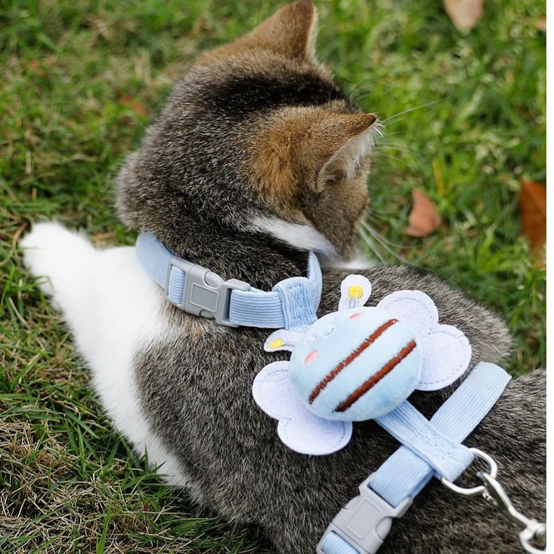 comfortable cat harness and leash