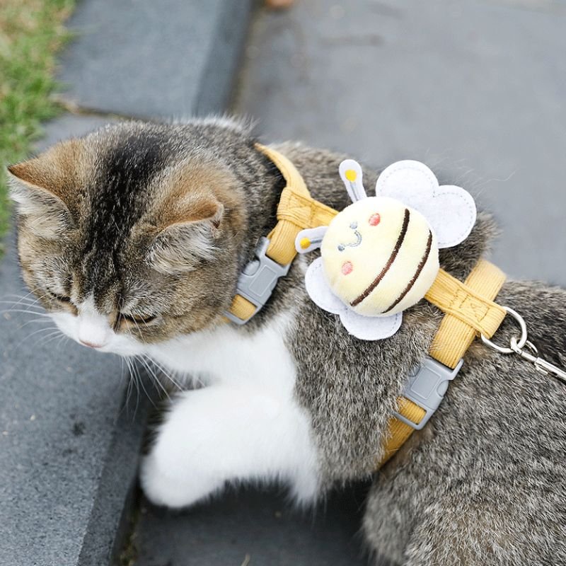 comfortable cat leash