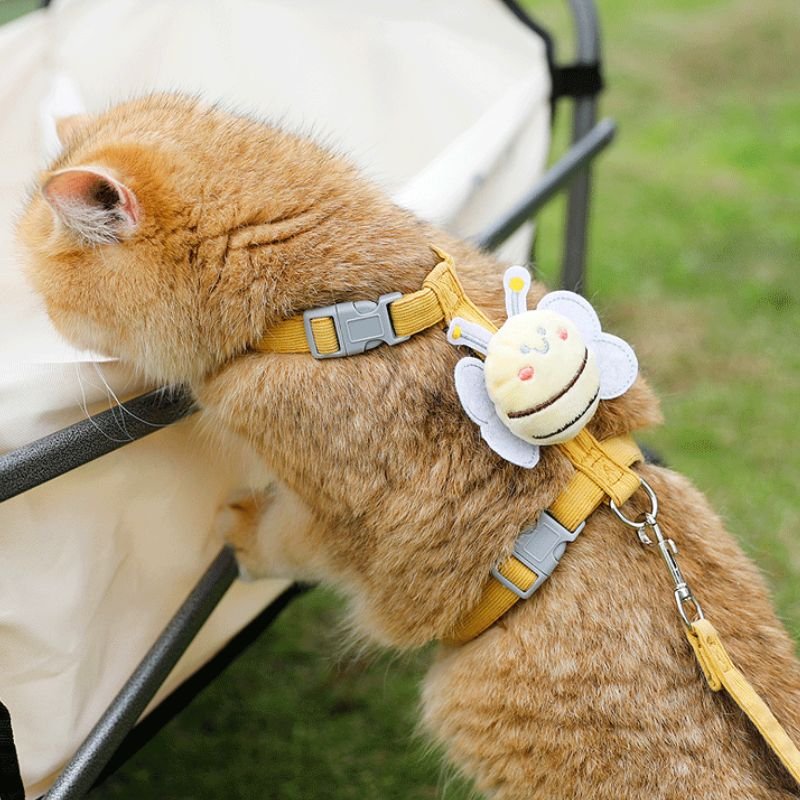 escape proof cat leash