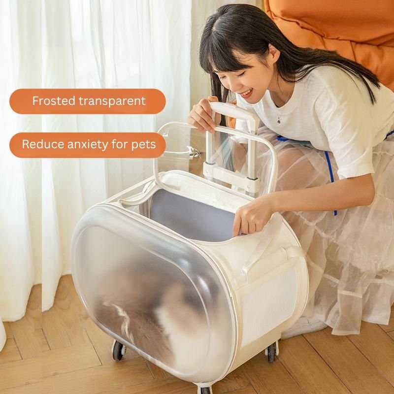 pet travel suitcase