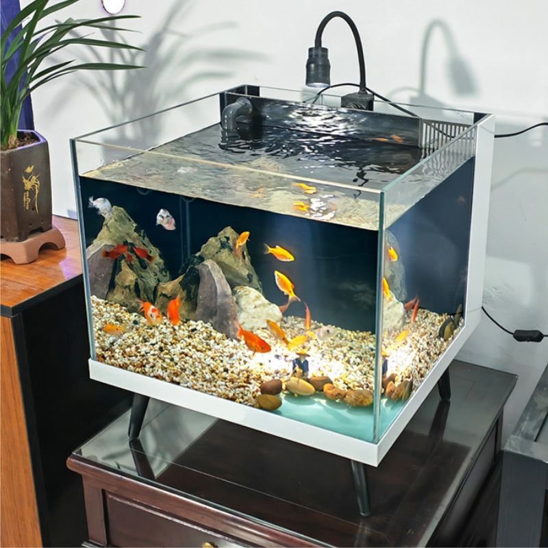 fish tank with filter and light