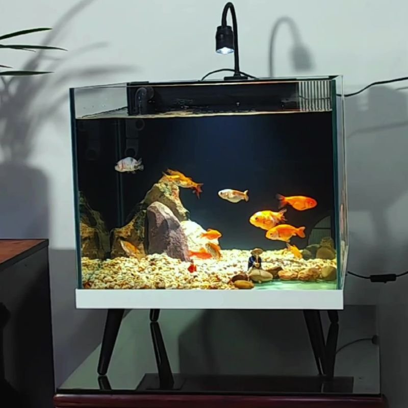 small aquarium kit