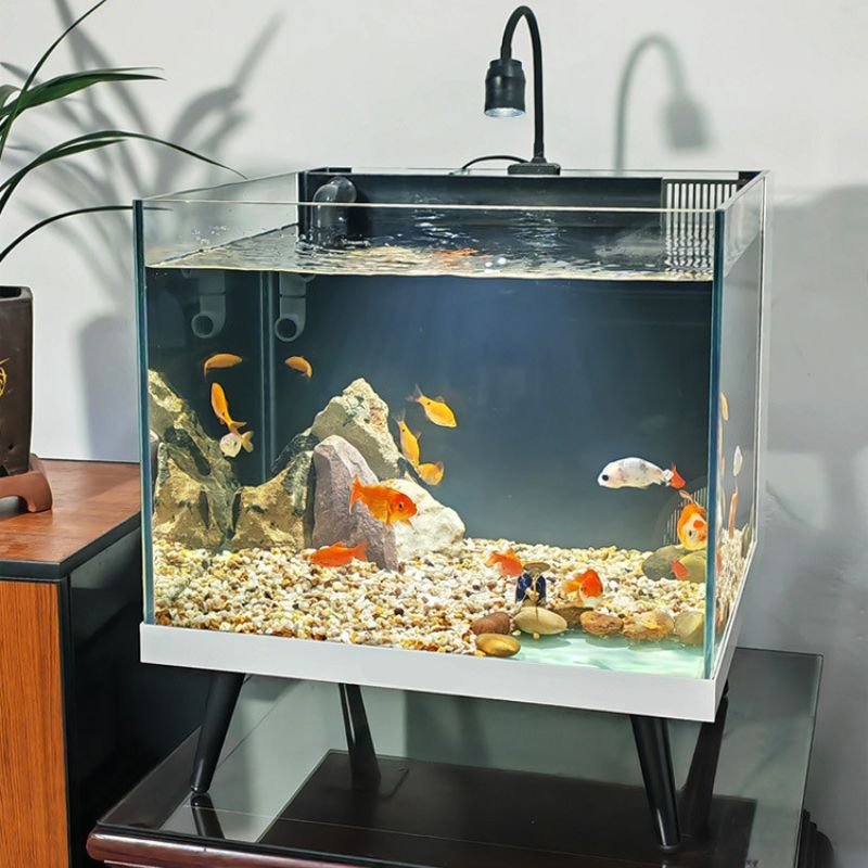 small aquarium tank