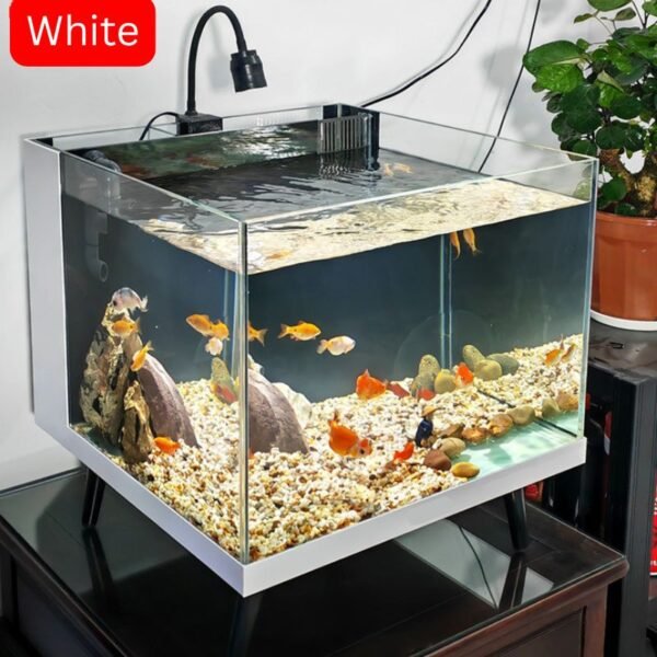small fish aquarium with filter