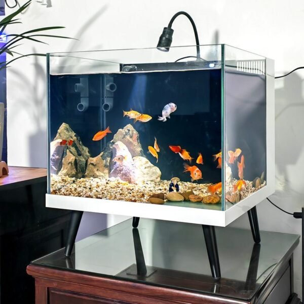 small fish tank with filter and light