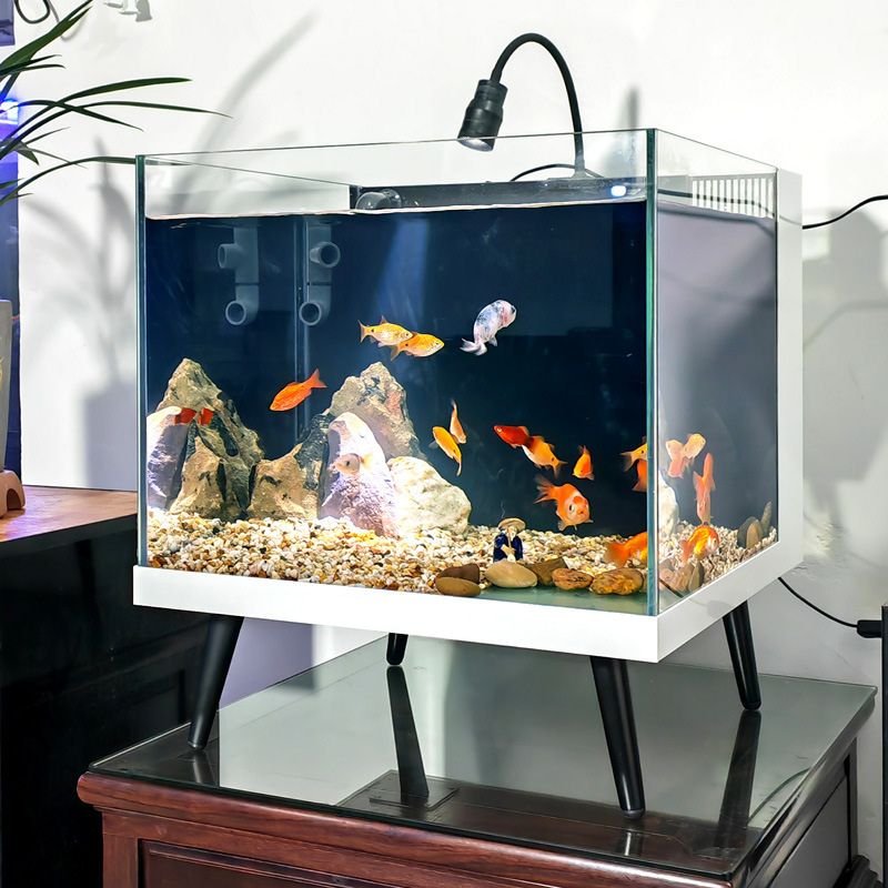 small fish tank with filter and light