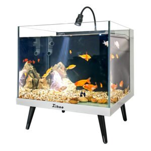 small glass fish tank
