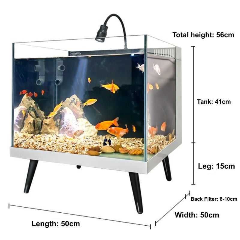 small glass fish tank size