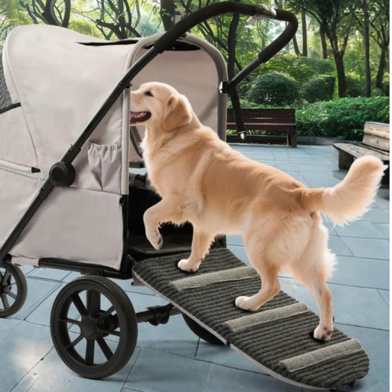 stroller with a ramp for dogs